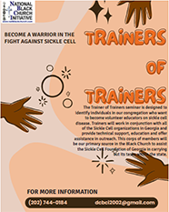 Train the trainers graphic